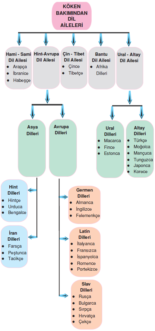 türkçeyle akraba diller