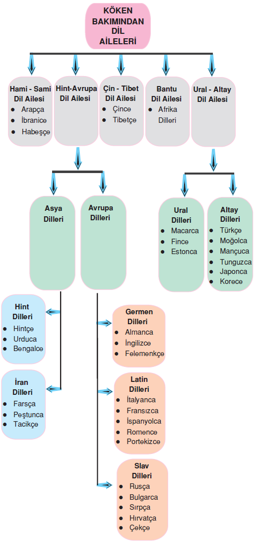 Kokenlerine Gore Diller Kokenlerine Gore Diller Nelerdir Edebiyat Ogretmeni