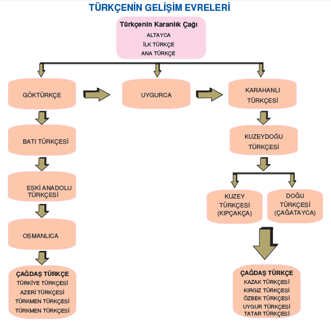 turk dilinin tarihi gelisimi ve turkiye turkcesi edebiyat ogretmeni